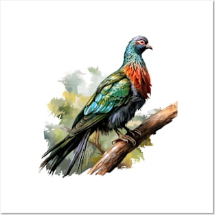 Nicobar Pigeon Posters and Art